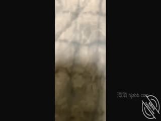 ✿绿意盎然✿趁大哥出差不在家让嫂子穿上情趣制服肏得嫂子淫水直流求饶边艹边挤出鲜甜的奶汁小声点别让邻家听到第02集