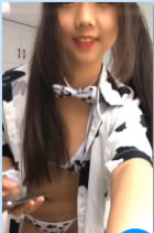 好聪明的小猫会跳舞